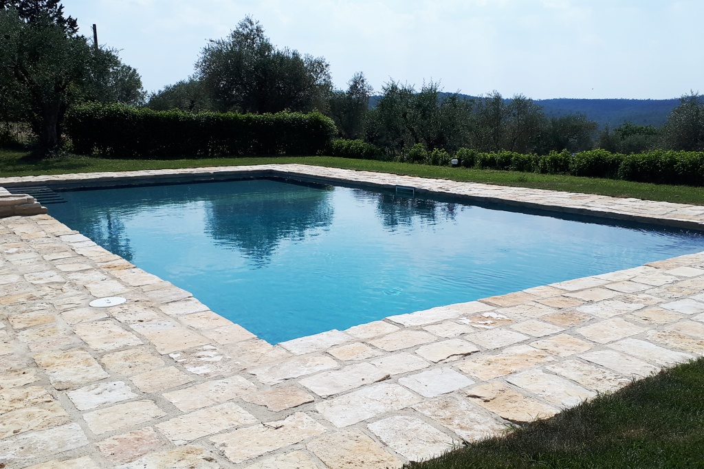 natural pool's deck construction