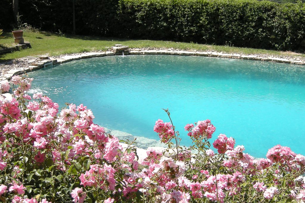 Saltwater pool in spring