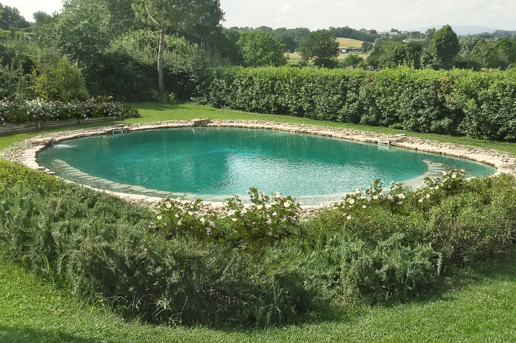 saltwater pool In backyard in Tuscany