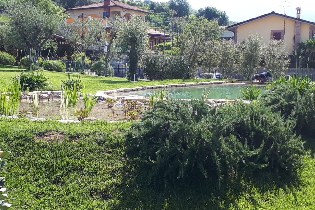 Biolago e giardino Vera Luciani