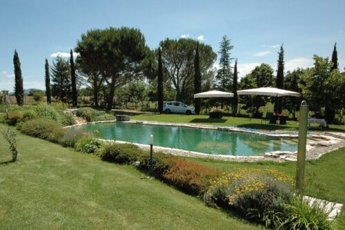 biolago piscina naturale con outdoor e giardino
