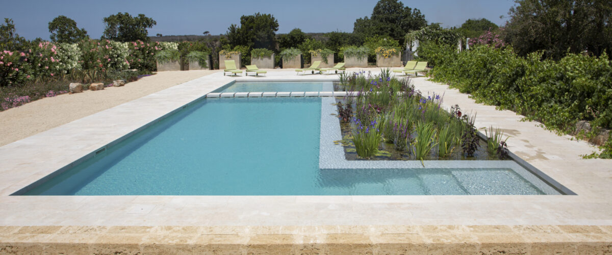 Natural swimming pool with aquatic plants