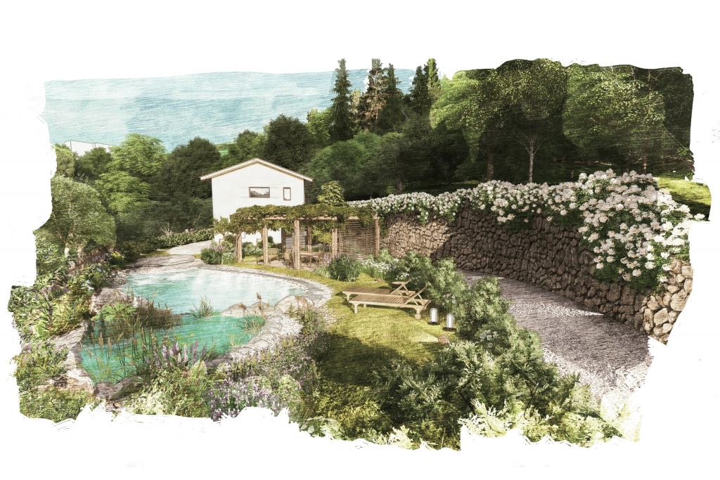 Natural pool and garden render