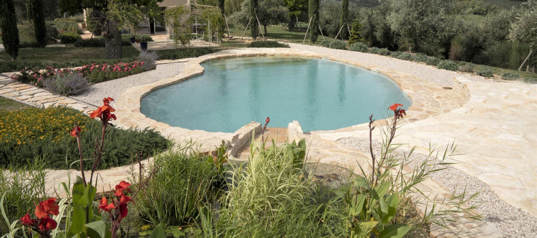 Biopiscina con piante acquatiche