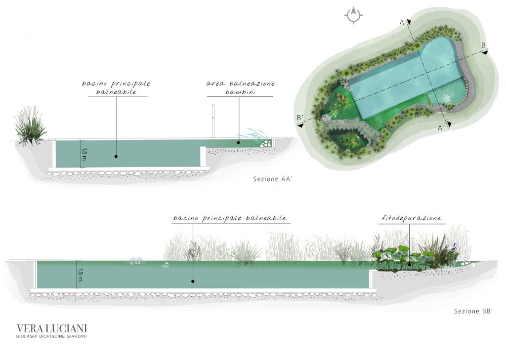 Natural swimming pool section