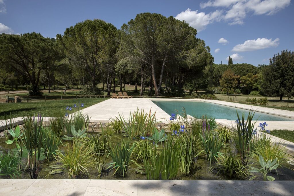 Bio-piscina con fitodepurazione