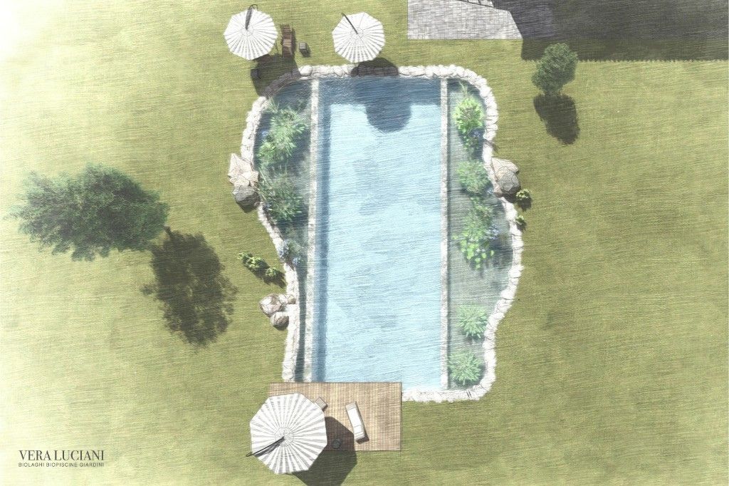 Natural poolproject with pool deck