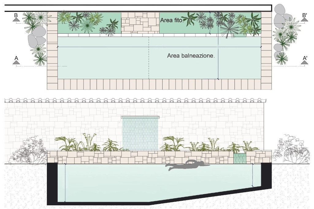 Natural swimming pool section