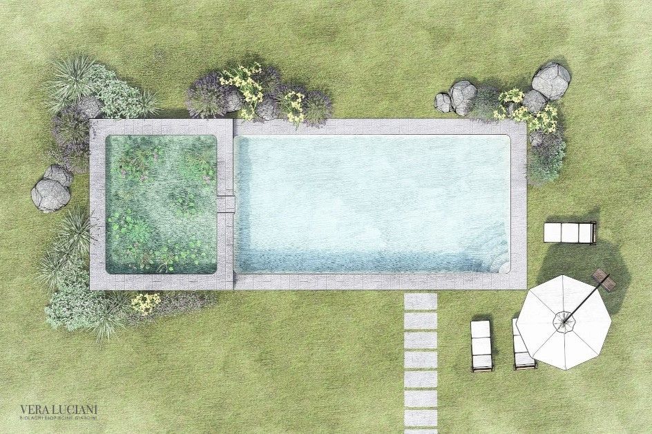 Natural swimming pool project